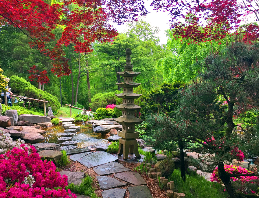 Beautifully landscaped garden