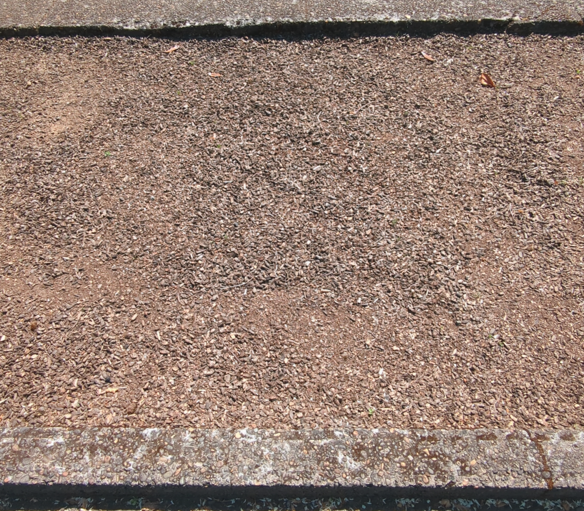 Before - Living Habitat Parking Strip Conversion